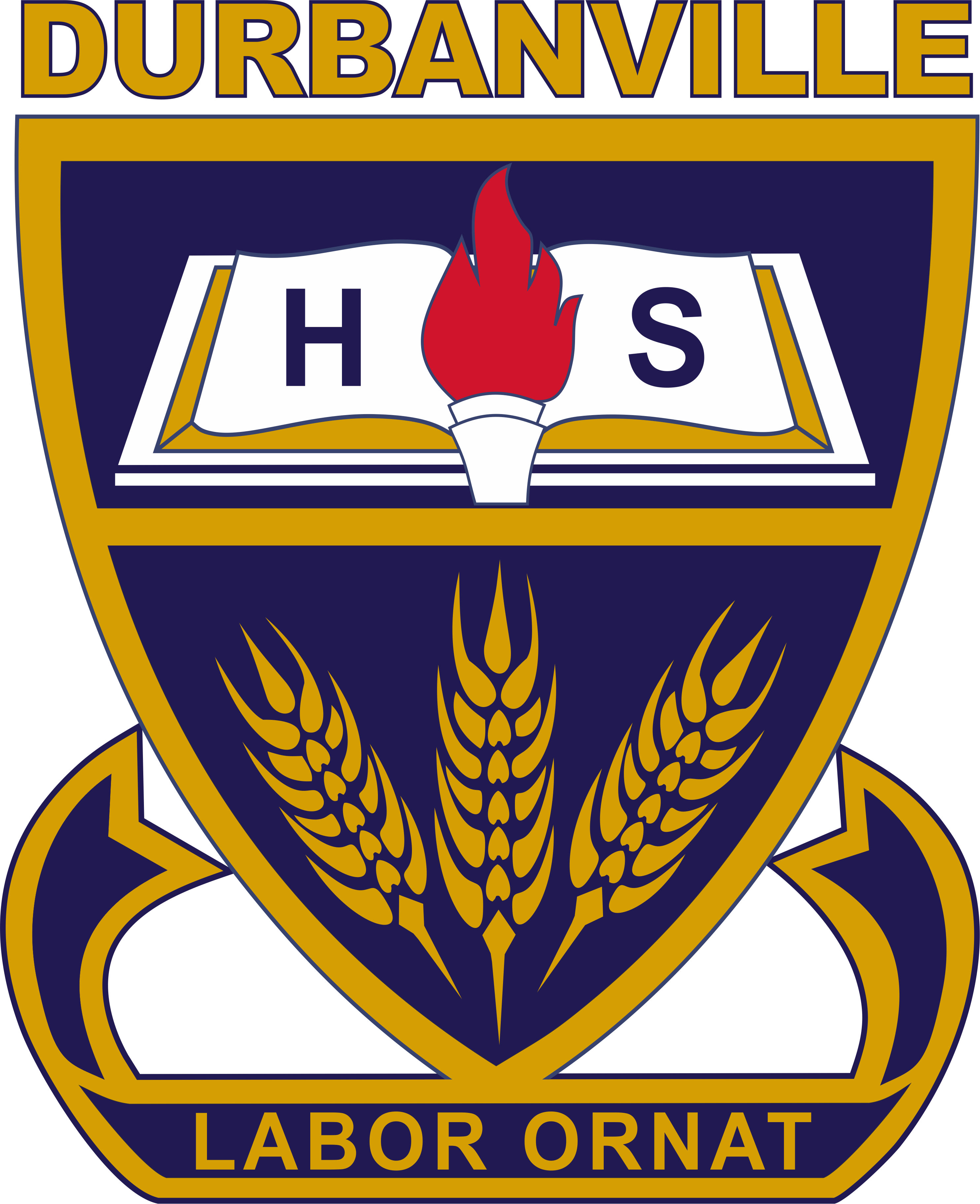 DVHS